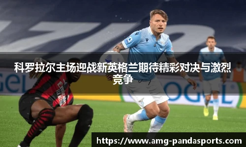 熊猫体育